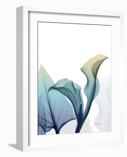 Ombre Expression 10-Albert Koetsier-Framed Photographic Print