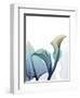 Ombre Expression 10-Albert Koetsier-Framed Photographic Print