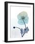 Ombre Expression 7-Albert Koetsier-Framed Photographic Print