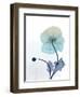 Ombre Expression 7-Albert Koetsier-Framed Photographic Print