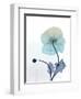 Ombre Expression 7-Albert Koetsier-Framed Photographic Print