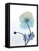 Ombre Expression 7-Albert Koetsier-Framed Stretched Canvas