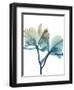 Ombre Expression 8-Albert Koetsier-Framed Photographic Print