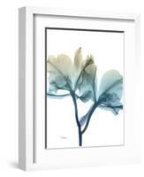 Ombre Expression 8-Albert Koetsier-Framed Photographic Print