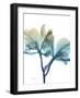 Ombre Expression 8-Albert Koetsier-Framed Photographic Print