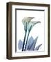 Ombre Expression 9-Albert Koetsier-Framed Photographic Print