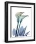 Ombre Expression 9-Albert Koetsier-Framed Photographic Print