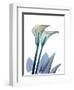 Ombre Expression 9-Albert Koetsier-Framed Photographic Print