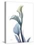 Ombre Expression Calla Lily 1-Albert Koetsier-Stretched Canvas