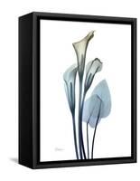 Ombre Expression Calla Lily 2-Albert Koetsier-Framed Stretched Canvas