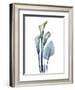 Ombre Expression Calla Lily 2-Albert Koetsier-Framed Photographic Print