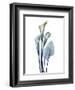 Ombre Expression Calla Lily 2-Albert Koetsier-Framed Photographic Print
