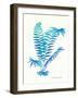 Ombre Fern I-Gwendolyn Babbitt-Framed Art Print