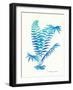 Ombre Fern I-Gwendolyn Babbitt-Framed Art Print