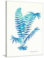 Ombre Fern I-Gwendolyn Babbitt-Stretched Canvas