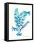 Ombre Fern I-Gwendolyn Babbitt-Framed Stretched Canvas