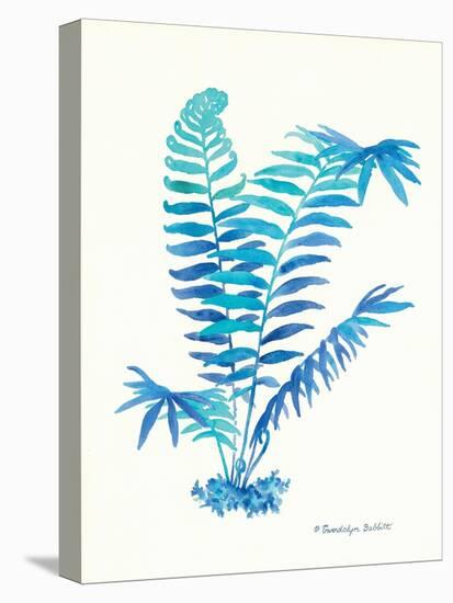 Ombre Fern I-Gwendolyn Babbitt-Stretched Canvas