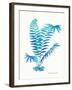 Ombre Fern I-Gwendolyn Babbitt-Framed Art Print