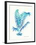 Ombre Fern I-Gwendolyn Babbitt-Framed Art Print