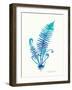 Ombre Fern II-Gwendolyn Babbitt-Framed Art Print