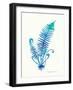 Ombre Fern II-Gwendolyn Babbitt-Framed Art Print