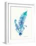 Ombre Fern II-Gwendolyn Babbitt-Framed Art Print