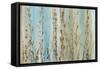 Ombre Floral I-Tim OToole-Framed Stretched Canvas