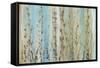 Ombre Floral I-Tim OToole-Framed Stretched Canvas