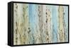 Ombre Floral II-Tim OToole-Framed Stretched Canvas