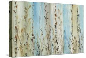 Ombre Floral II-Tim OToole-Stretched Canvas