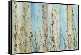 Ombre Floral II-Tim OToole-Framed Stretched Canvas