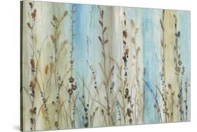 Ombre Floral II-Tim OToole-Stretched Canvas