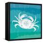 Ombre Ocean Rock Crab-Meili Van Andel-Framed Stretched Canvas