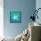 Ombre Ocean Starfish-Meili Van Andel-Framed Stretched Canvas displayed on a wall