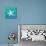 Ombre Ocean Starfish-Meili Van Andel-Mounted Art Print displayed on a wall