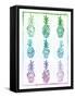 Ombre Pineapple-Ashley Sta Teresa-Framed Stretched Canvas