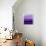 Ombre Purple II-Allie Corbin-Art Print displayed on a wall