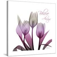 Ombre Tulips-Albert Koetsier-Stretched Canvas