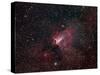 Omega Nebula-Stocktrek Images-Stretched Canvas