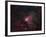 Omega Nebula-Stocktrek Images-Framed Photographic Print