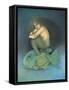 Omermaid-Wayne Anderson-Framed Stretched Canvas