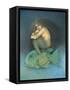Omermaid-Wayne Anderson-Framed Stretched Canvas