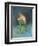 Omermaid-Wayne Anderson-Framed Premium Giclee Print