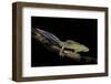 Ommatotriton Vittatus (Southern Banded Newt)-Paul Starosta-Framed Photographic Print