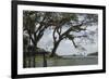 Omoa-Andrew Geiger-Framed Giclee Print