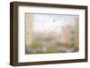 On a Autumn Raining Day-DeSerg-Framed Photographic Print