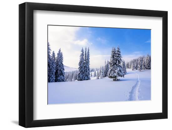 Premium Photographic Print, , large