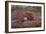 On a Log I-Kathy Mahan-Framed Photographic Print