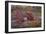 On a Log I-Kathy Mahan-Framed Photographic Print