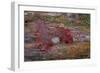 On a Log I-Kathy Mahan-Framed Photographic Print